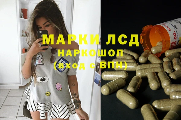 сатива Белокуриха