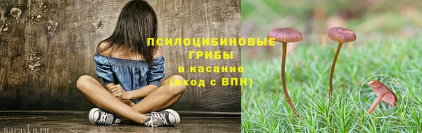 трава Беломорск
