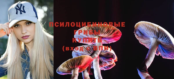 mdma Рославль