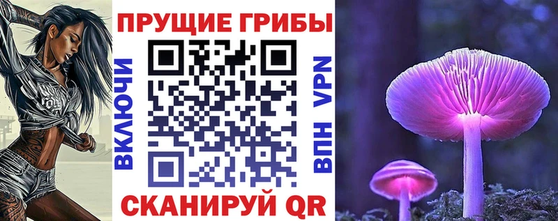Псилоцибиновые грибы Psilocybe  Мглин 
